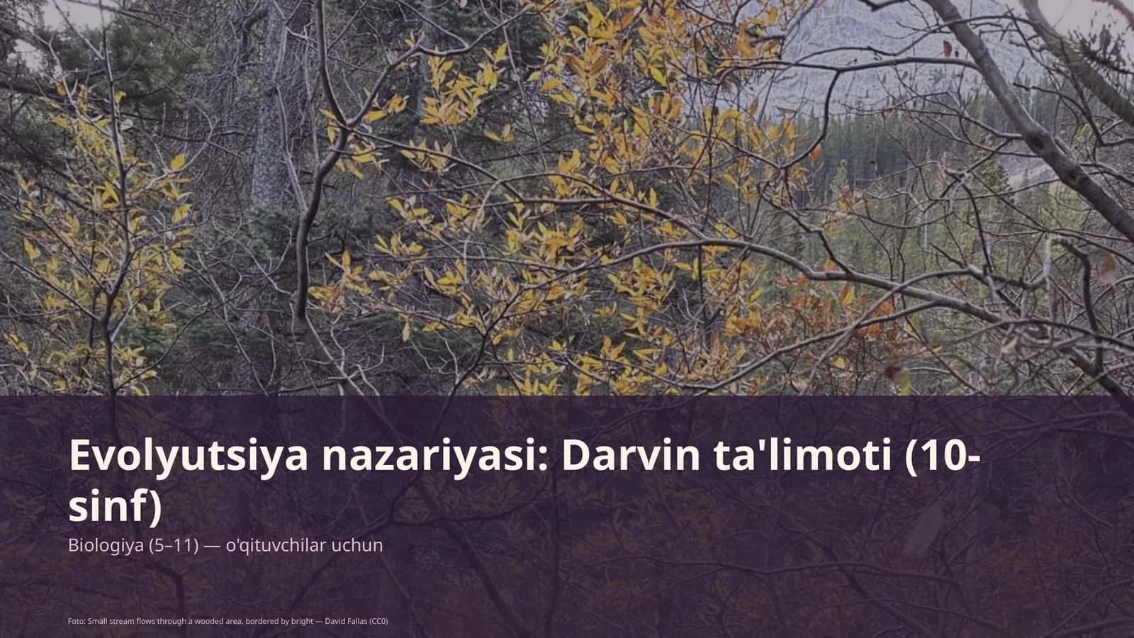 Evolyutsiya nazariyasi: Darvin ta'limoti (10-sinf) 1