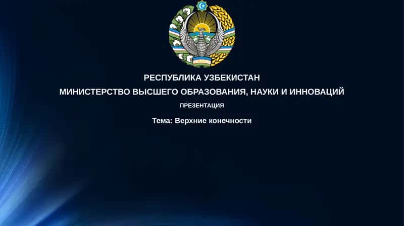 Верхниеконечности 1