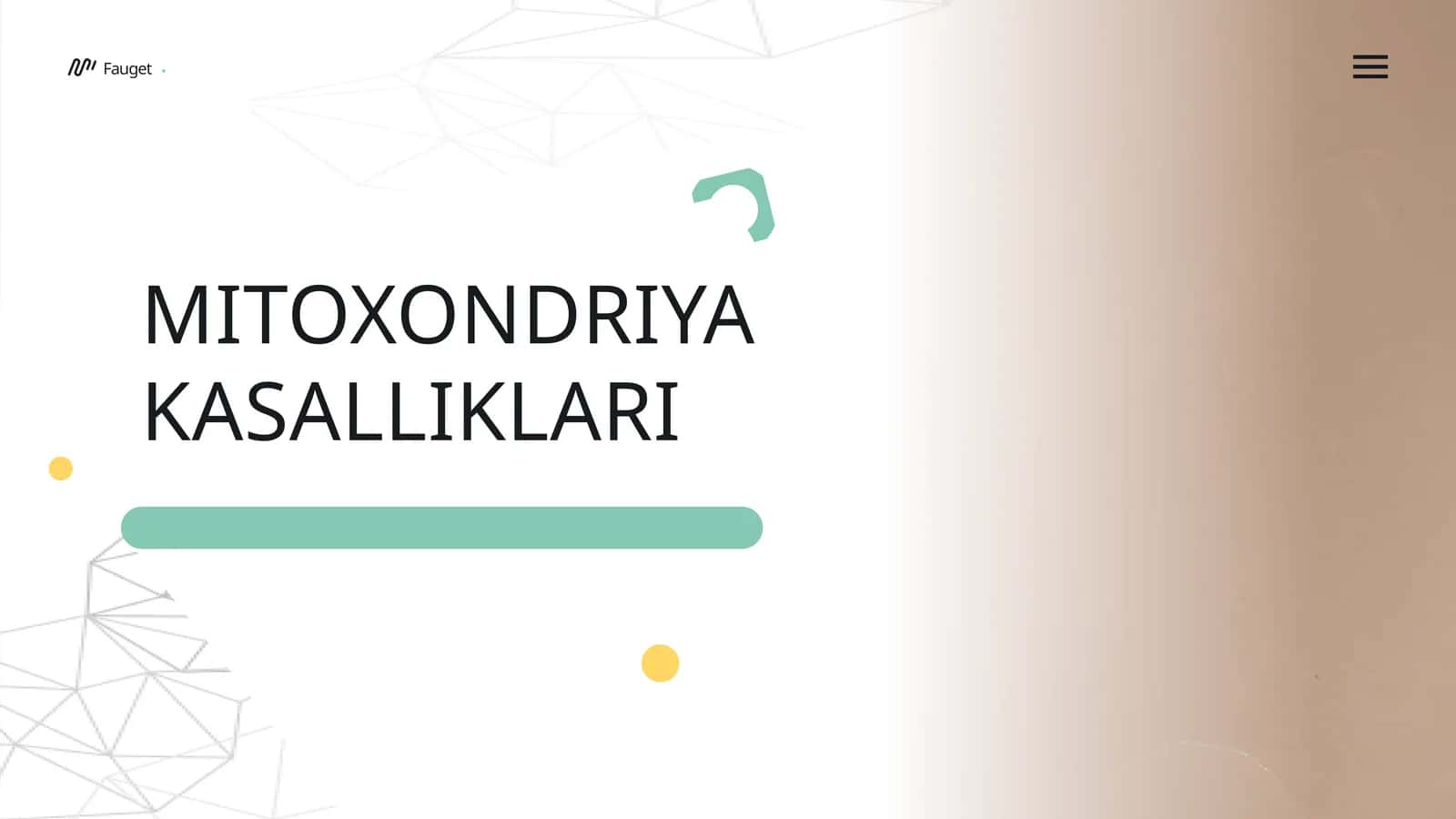 Mitoxondriya kasalliklari 1