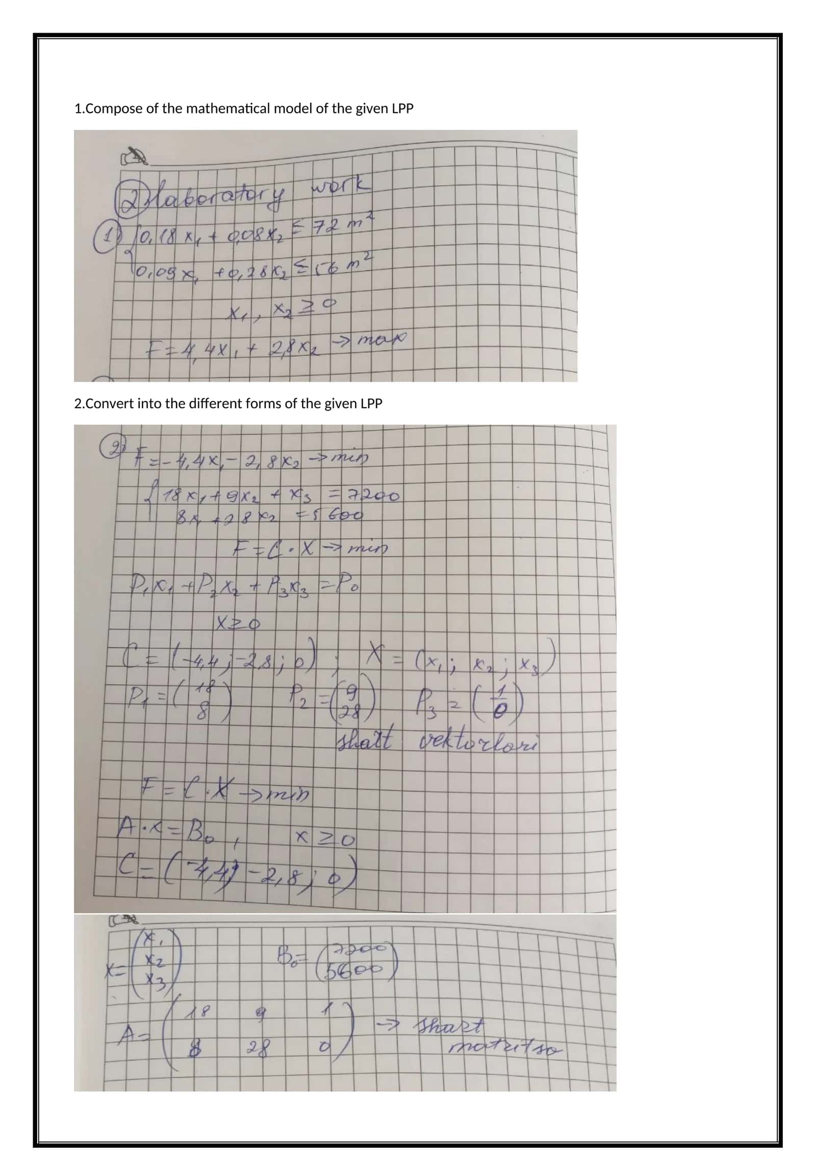 Compose and Solve Linear Programming Problems 1