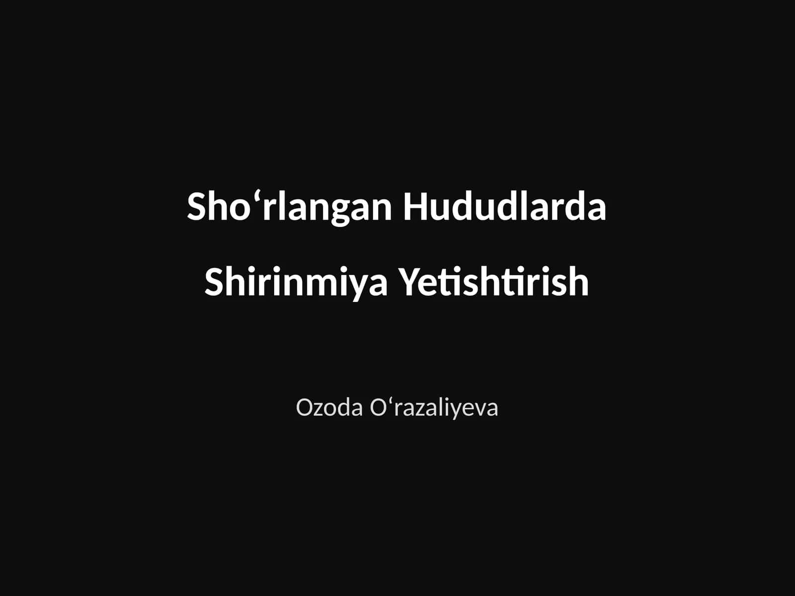 Shoʻrlangan Hududlarda Shirinmiya Yetishtirish 1