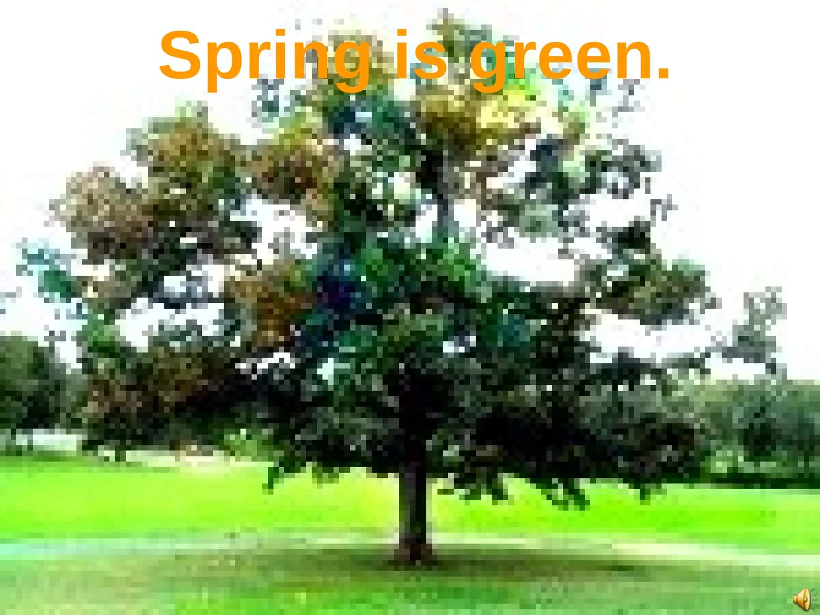 Spring Colors 1