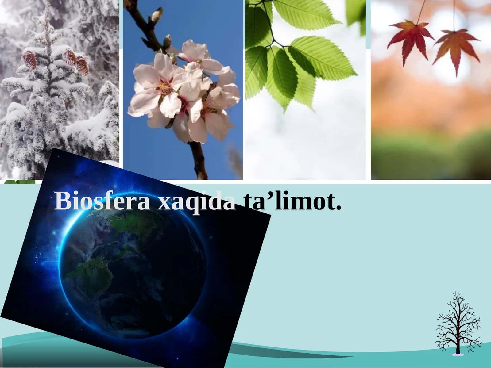 Biosfera xaqidata’limot 1