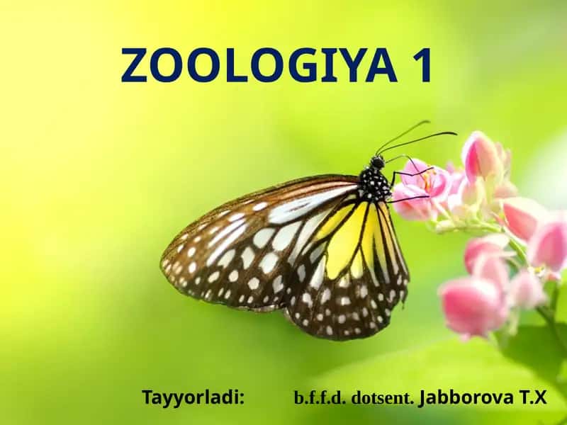 Zoologiya 1 1