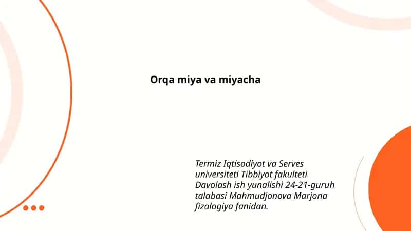Orqa miya va miyacha 1