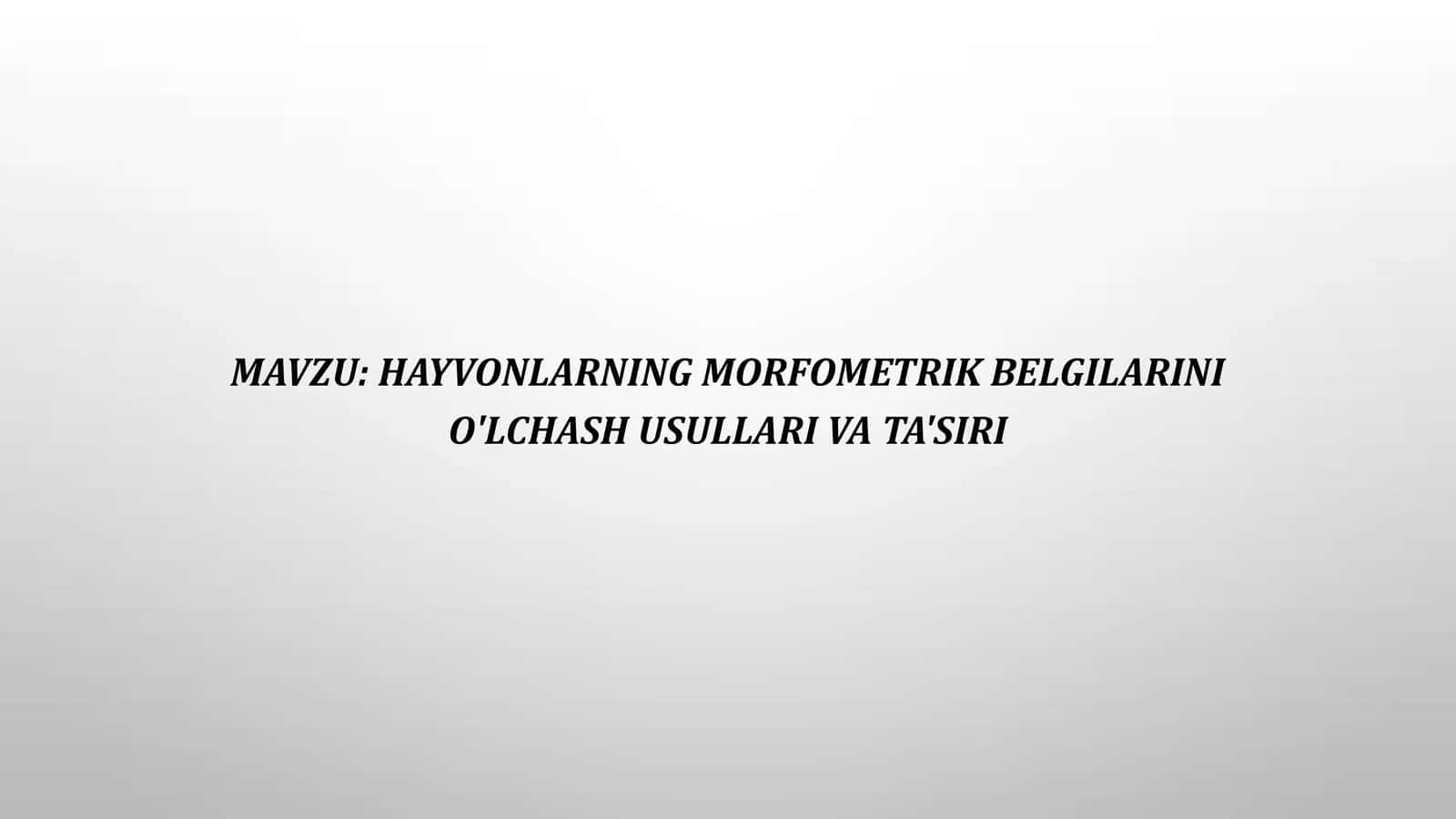 Hayvonlarning morfometrik belgilarini o'lchash usullari va ta'siri 1