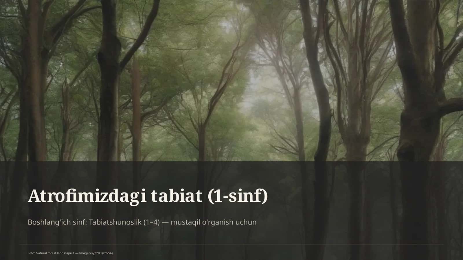 Atrofimizdagi tabiat (1-sinf) 1