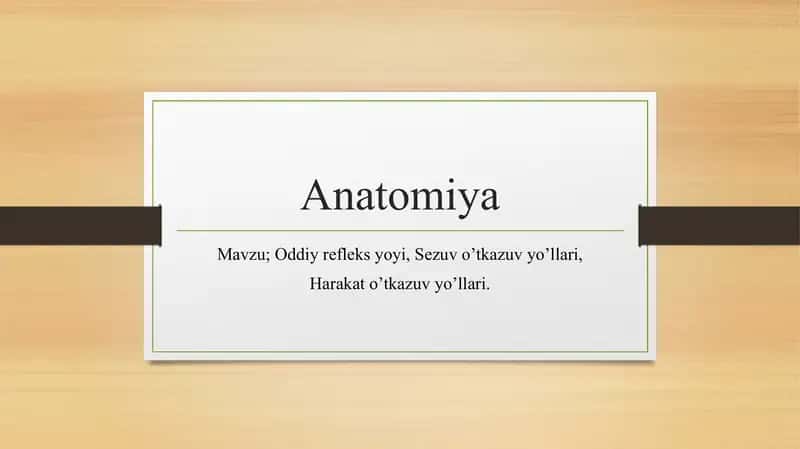 Anatomiya sezuv va harakat o'tkazuv yo'llari. 1