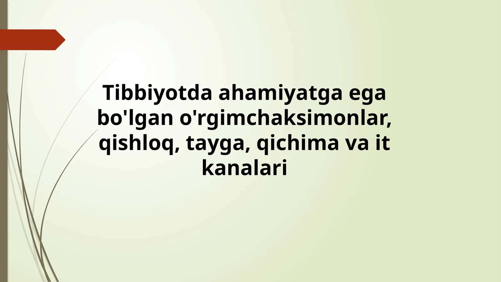 Tibbiyotda ahamiyatga ega bo'lgan o'rgimchaksimonlar, qishloq, tayga, qichima va it kanalari 1