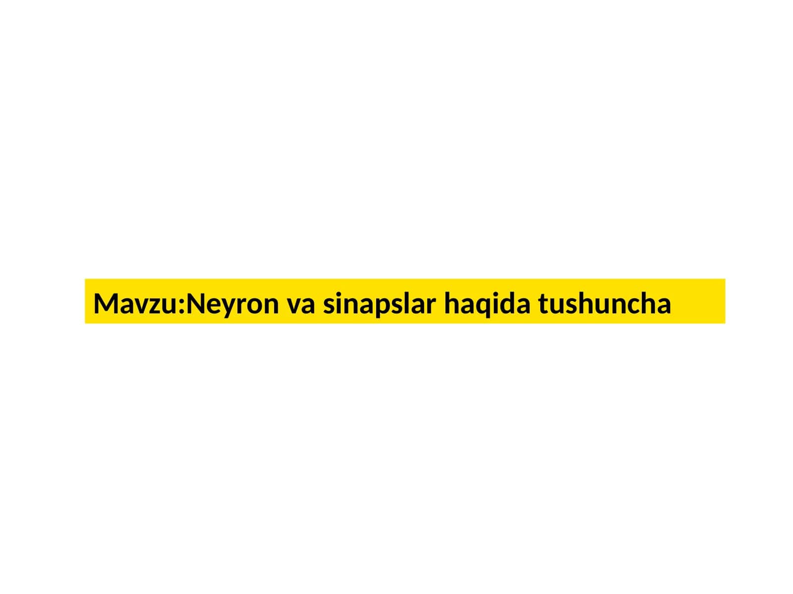 Neyron 1