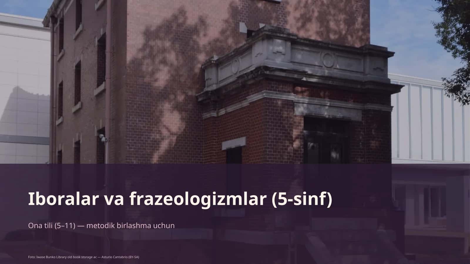 Iboralar va frazeologizmlar (5-sinf) 1