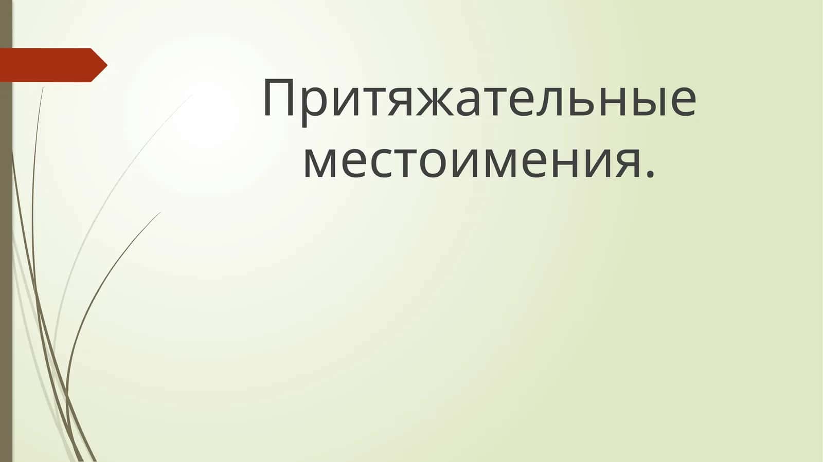 Притяжательные местоимения 1