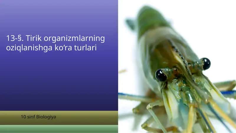 Tirik organizmlarning oziqlanishga ko‘ra turlari 1