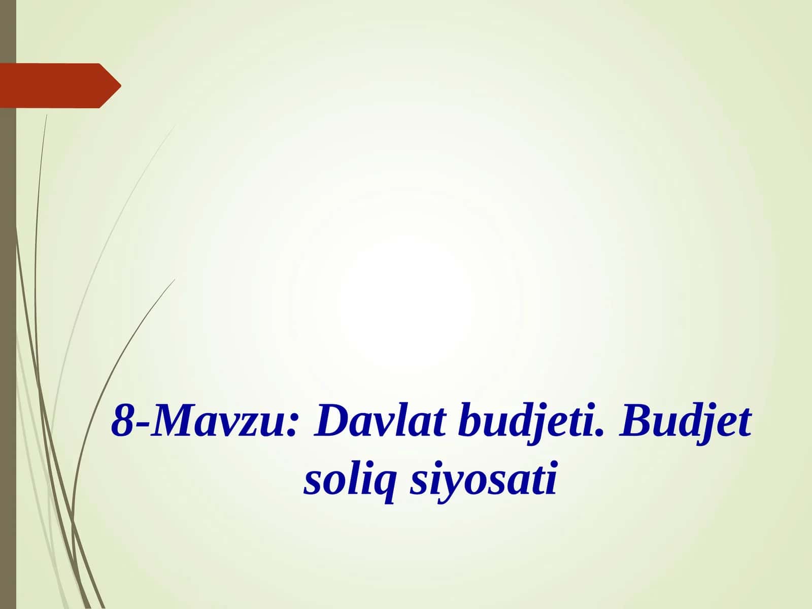 Davlat budjeti. Budjet soliq siyosati 1