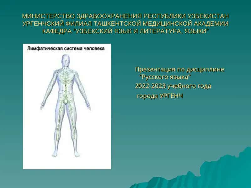 Лимфатическая система 1