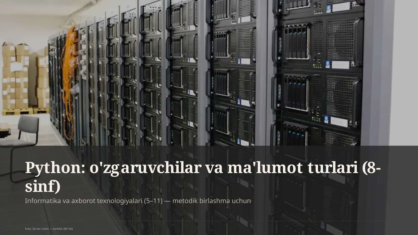 Python: o'zgaruvchilar va ma'lumot turlari (8-sinf) 1