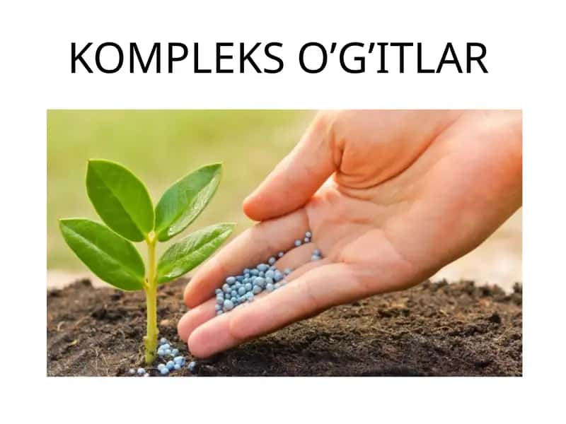 Kompleks o’gitlar 1