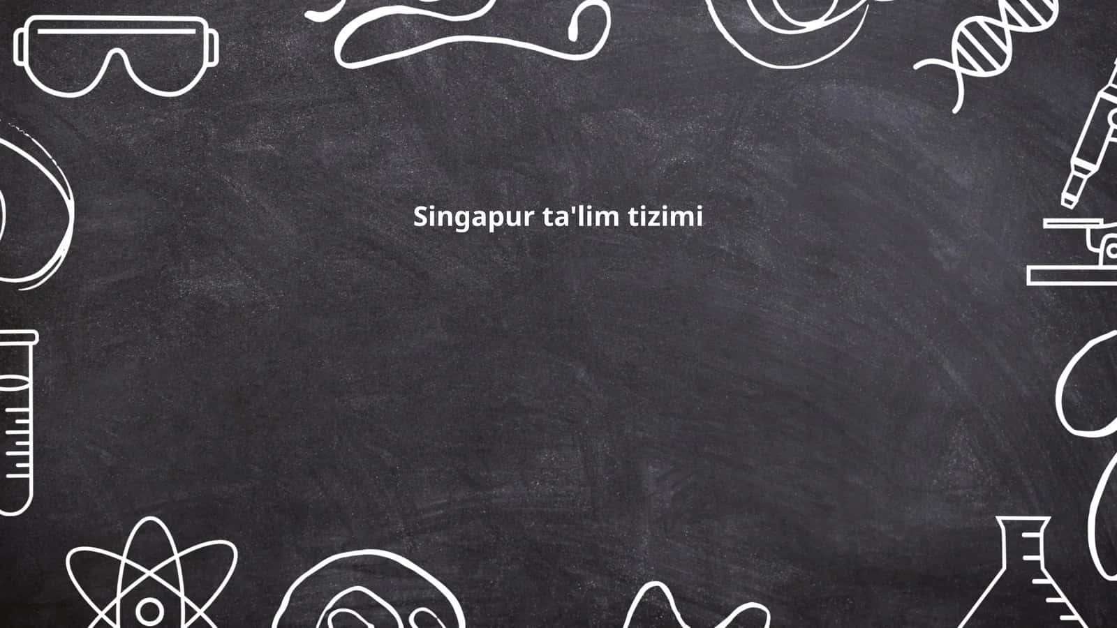 Singapur ta'lim tizimi 1
