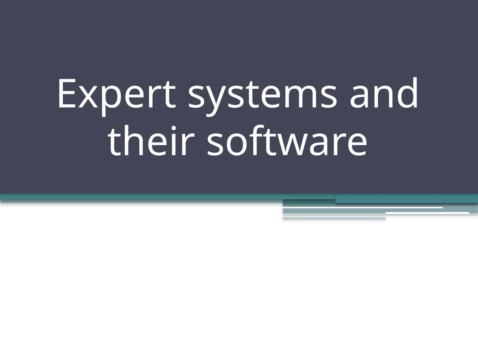Expert systems and their software 1