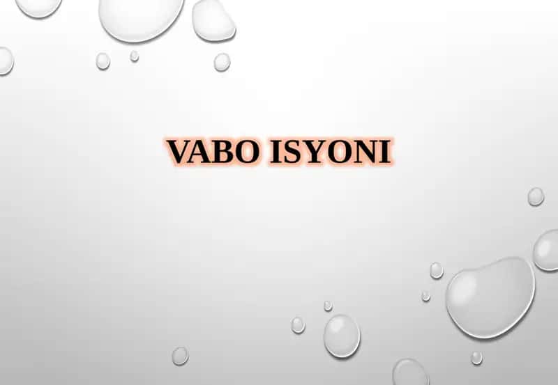 Vaboisyoni 1