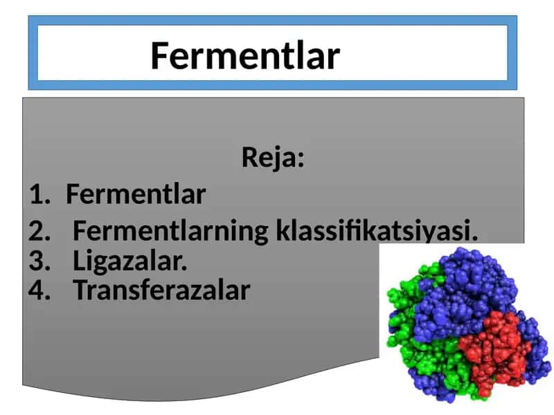 Fermentlar 1