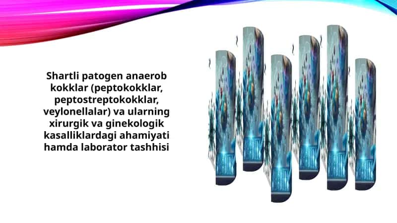 Shartli patogen anaerob kokklar va ularning xususiyatlari 1