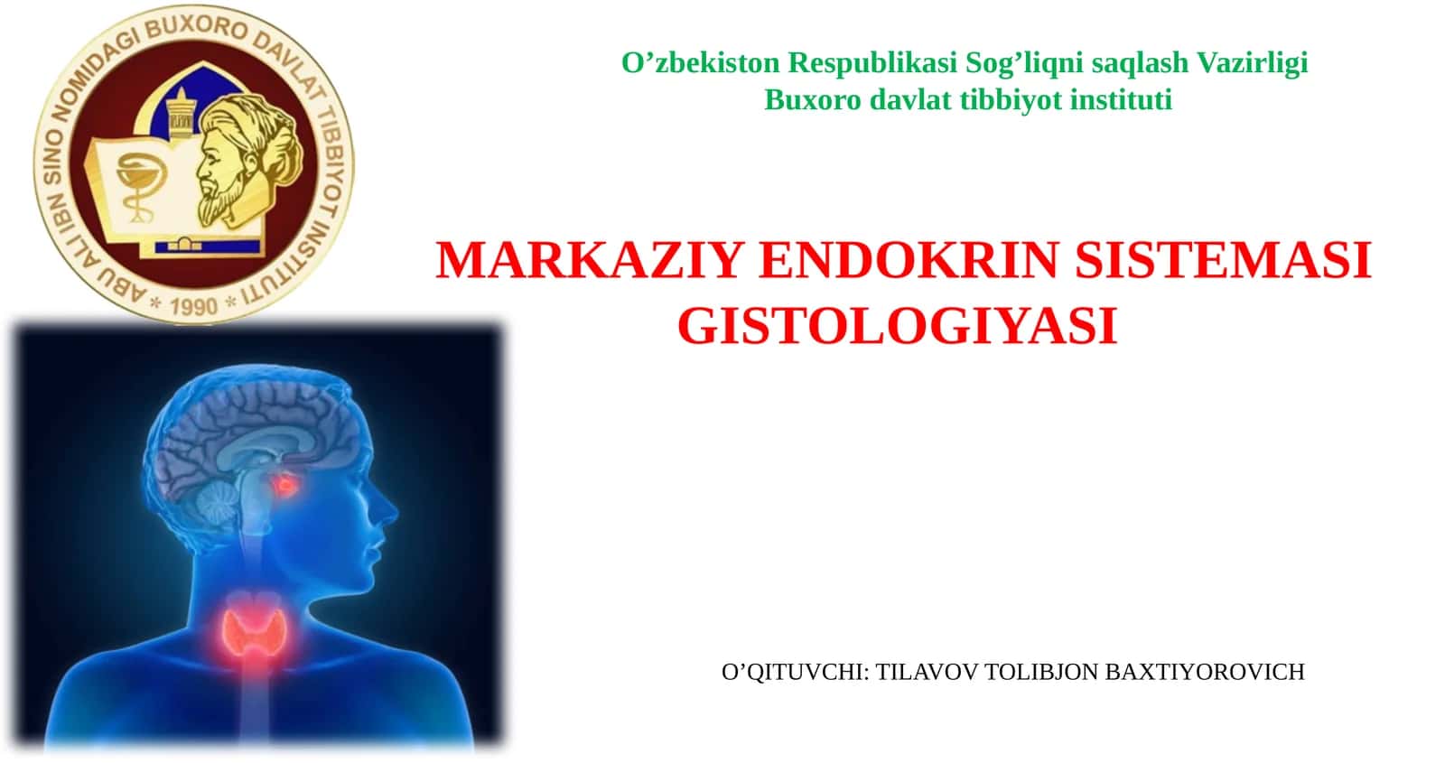 MARKAZIY ENDOKRIN SISTEMASI GISTOLOGIYASI 1
