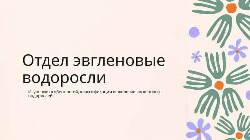 Эвгленовые водоросли 1