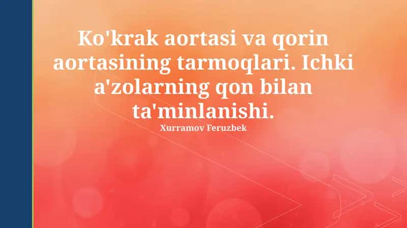 Ko'krak va qorin aortasining shoxchalari 1