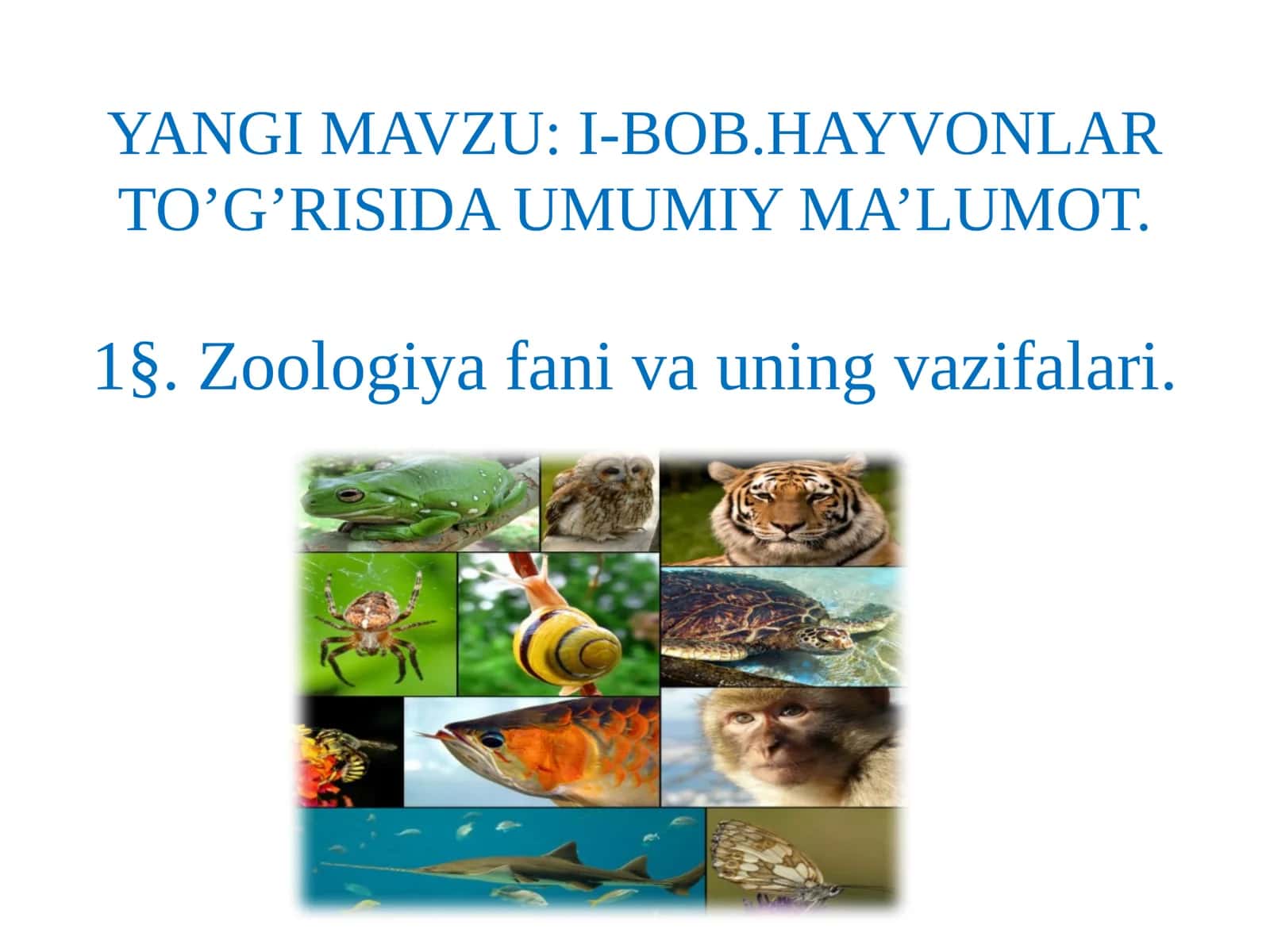 BOB.HAYVONLAR TO’G’RISIDA UMUMIY MA’LUMOT 1