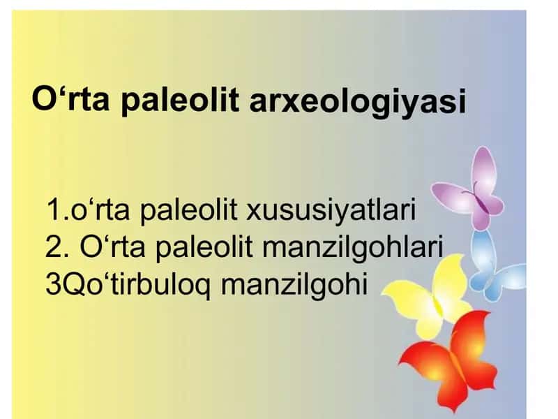 Paleolit davri 1