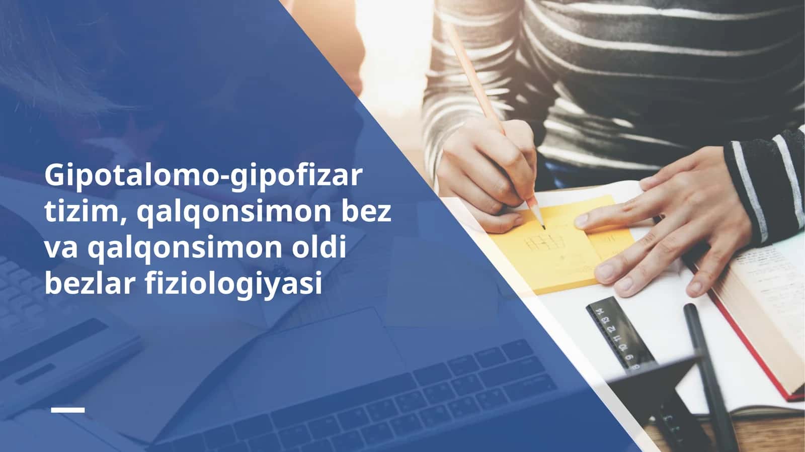 gipotalomo_gipofizar_tizim 1