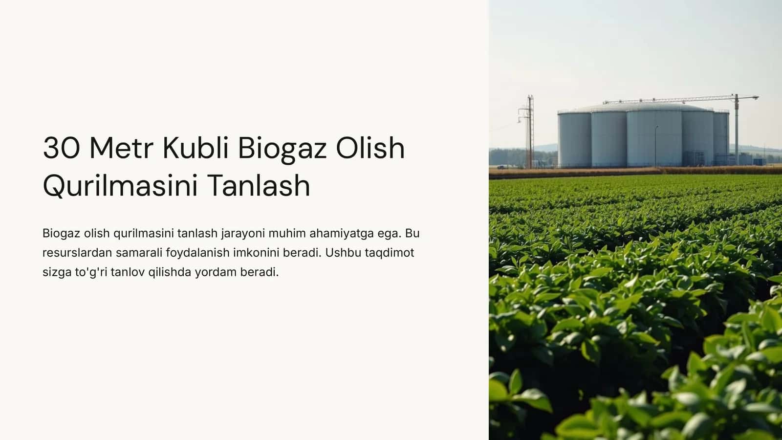 30 Metr Kubli Biogaz Olish Qurilmasini Tanlash 1