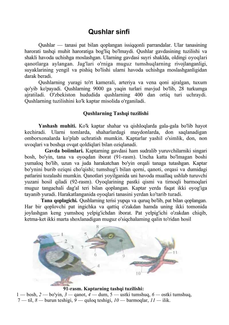 Qushlar sinfi 1
