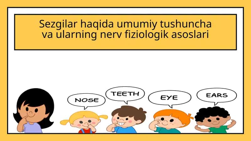Sezgilar haqida umumiy tushuncha va ularning nerv fiziologik asoslari 1
