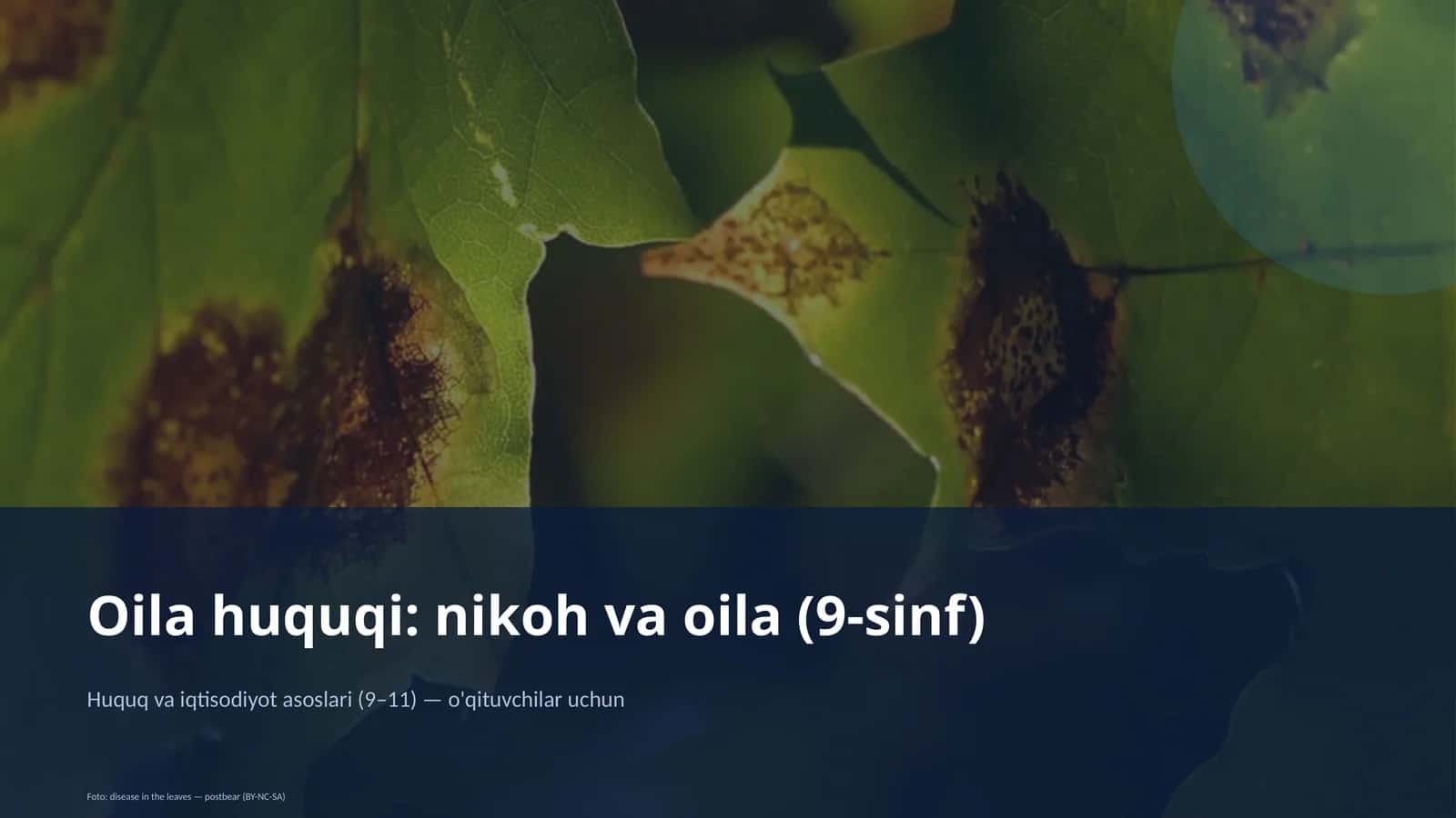 Oilа huquqi: nikoh va oila (9-sinf) 1
