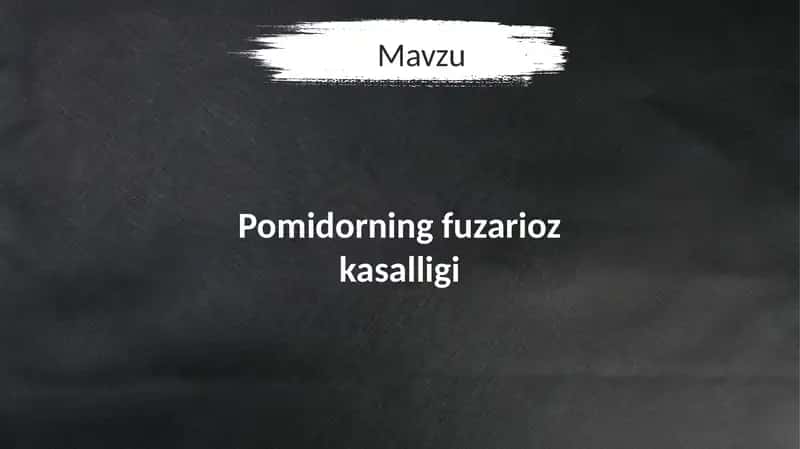 Pomidorning fuzarioz kasalligi 1