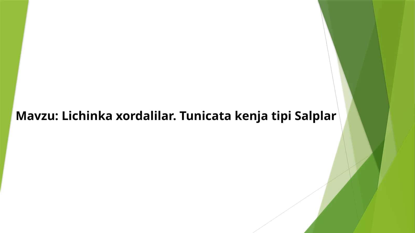 Lichinka xordalilar 1