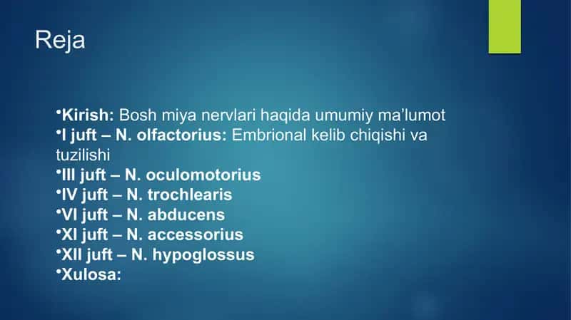 bosh miya nervlarining hosil boʻlishi 1