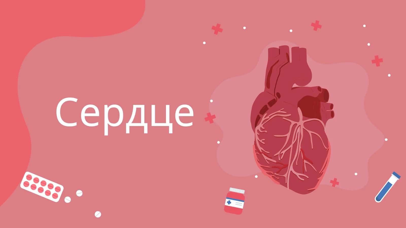 Ангиология 1
