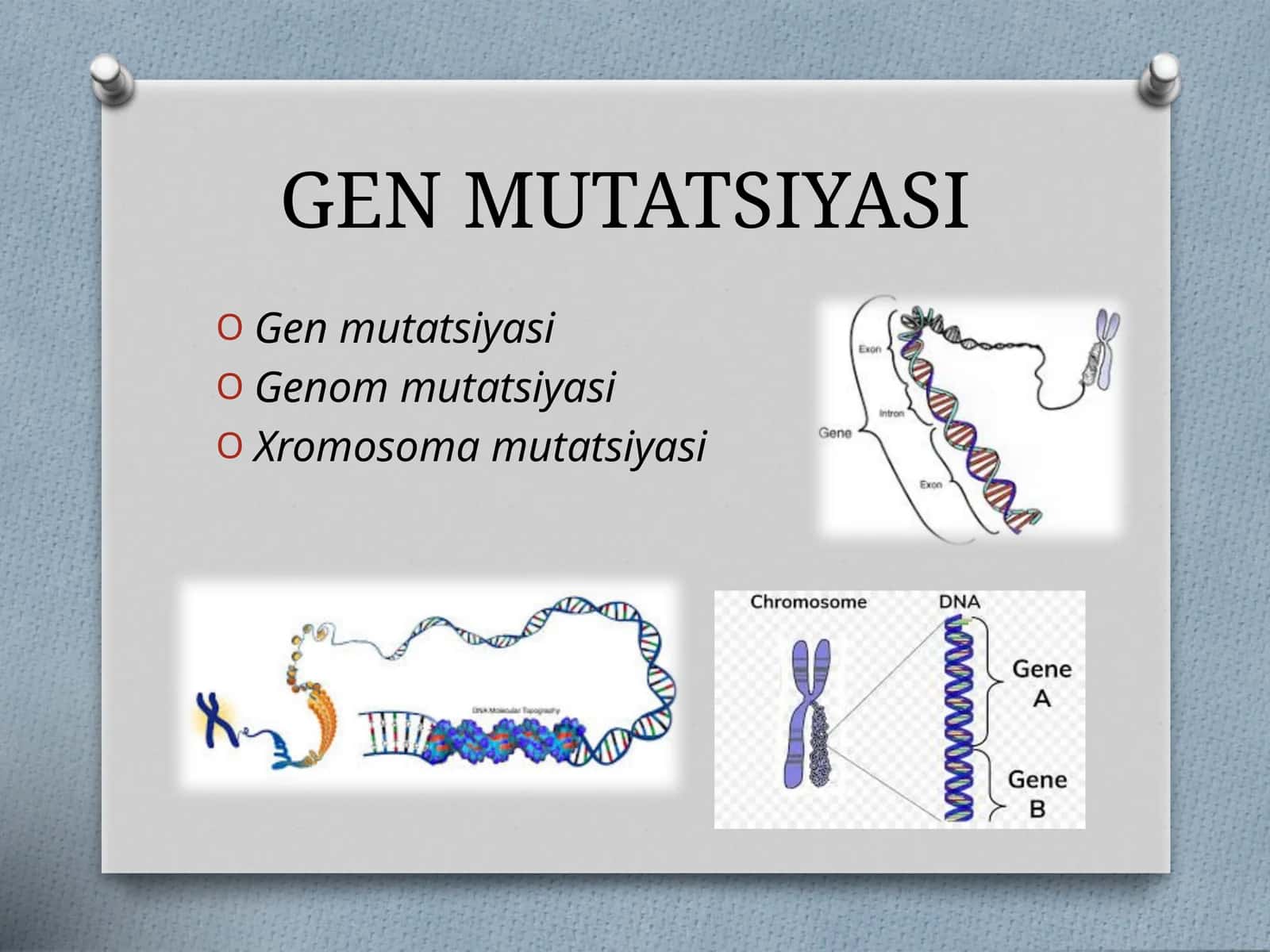 GEN MUTATSIYASI 1