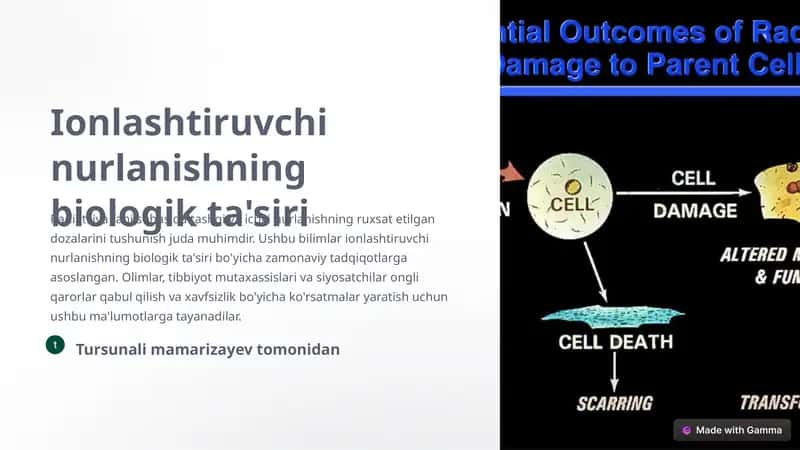 Ionlashtiruvchi nurlanishning biologik ta'siri 1