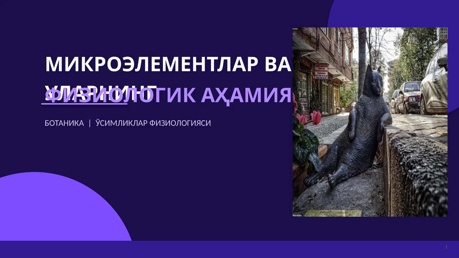 МИКРОЭЛЕМЕНТЛАР ВА УЛАРНИНГ ФИЗИОЛОГИК АҲАМИЯТИ 1