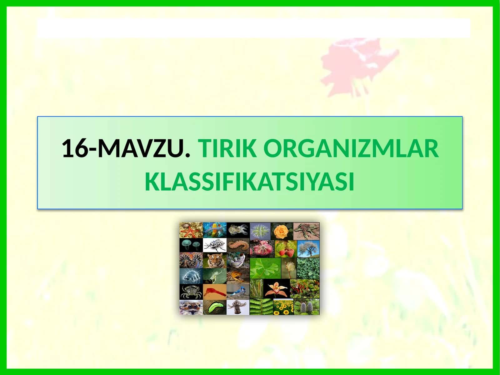 TIRIK ORGANIZMLAR KLASSIFIKATSIYASI 1
