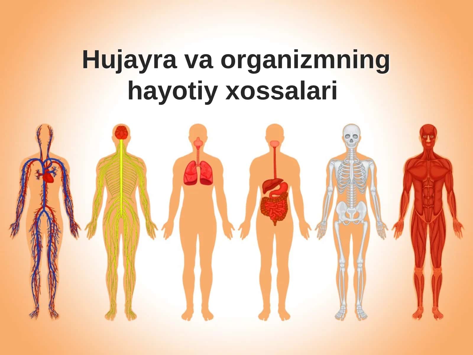 Hujayrava organizmning hayotiy xossalari 1