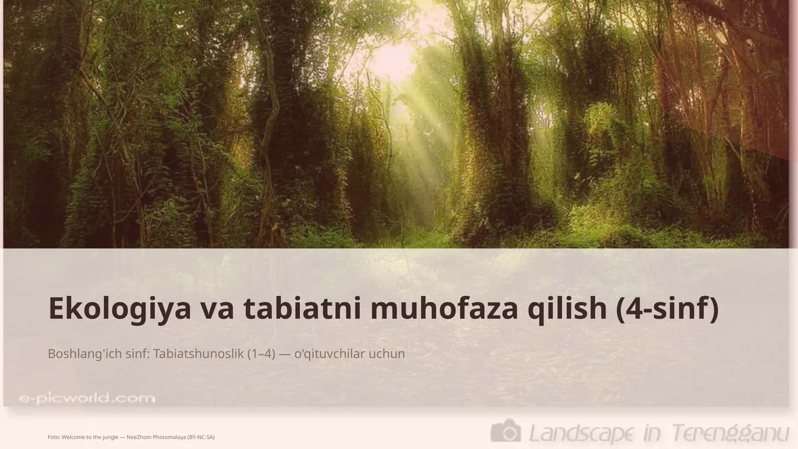 Ekologiya va tabiatni muhofaza qilish (4-sinf) 1