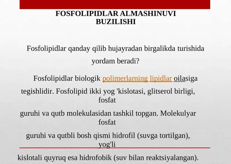 Fosfolipidlar 1