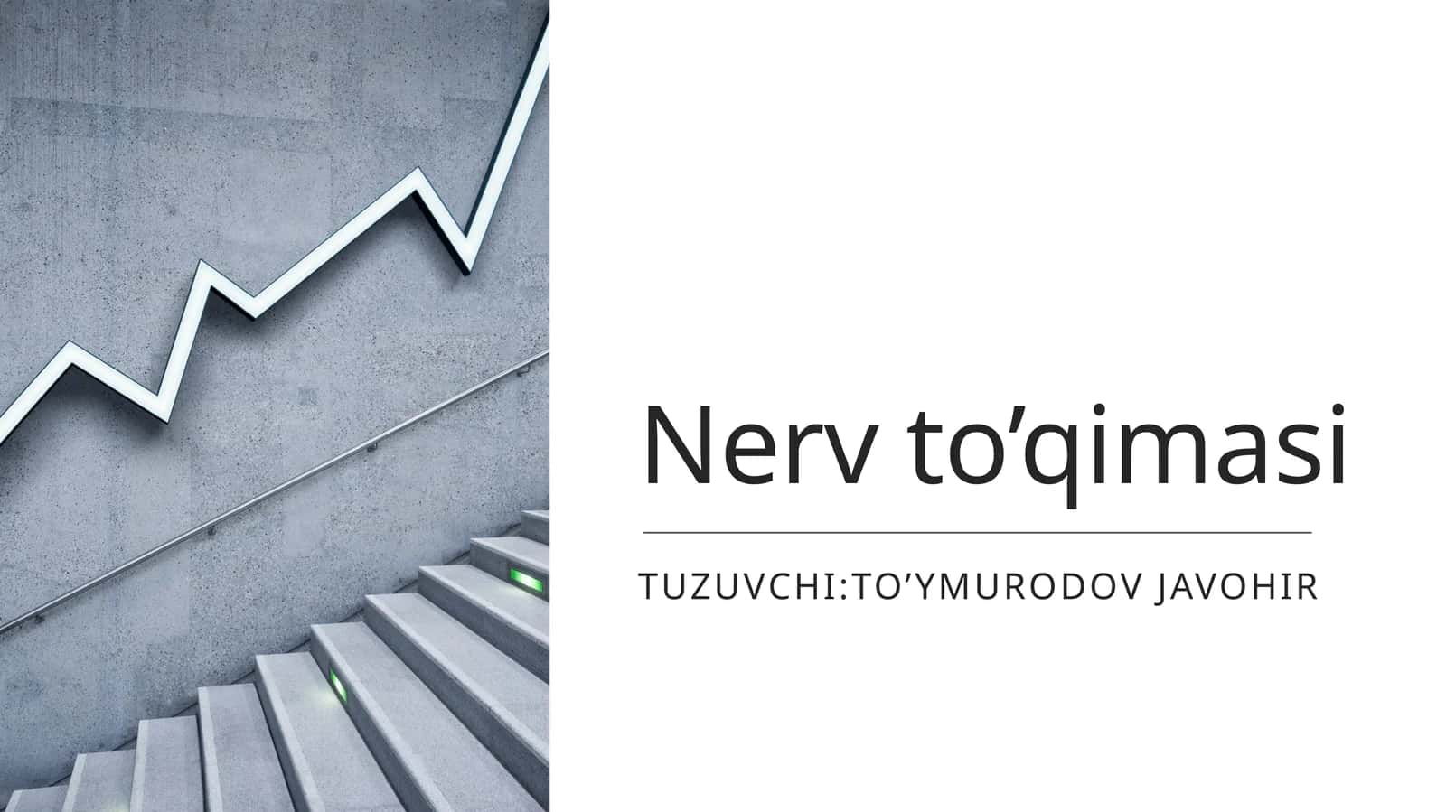 Nerv toʻqimasi 1