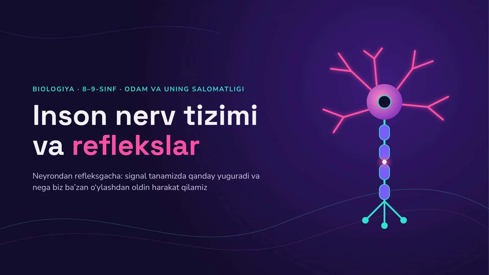 Inson nerv tizimi vareflekslar 1