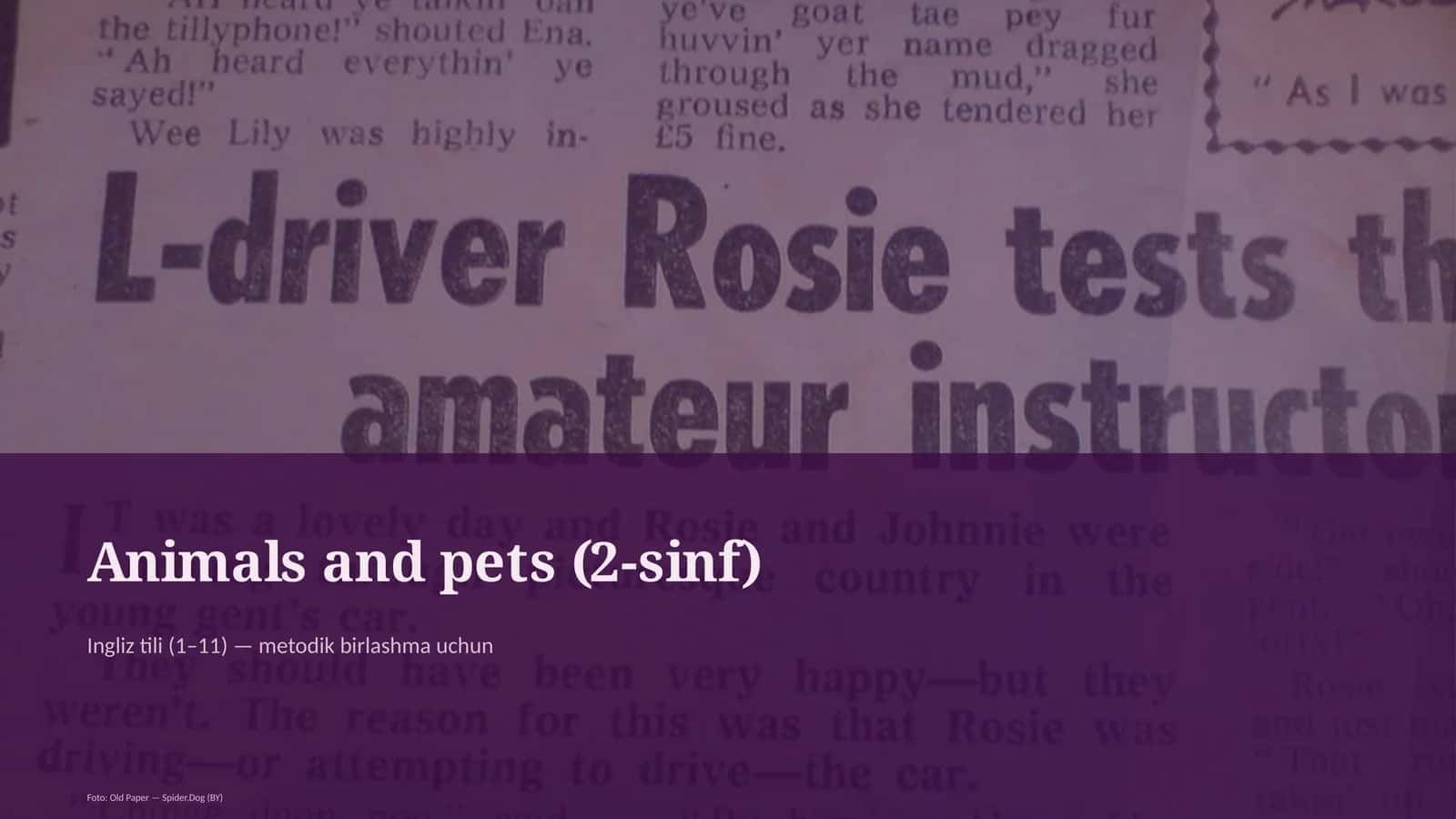 Animals and pets (2-sinf) 1